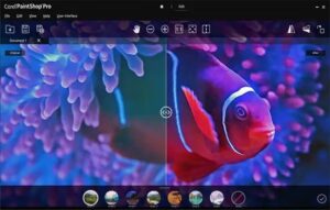 CorelPaintshopPro2023SS3