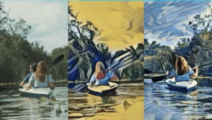 vdlx25 plus 05 styletransfer int min e1759837789656